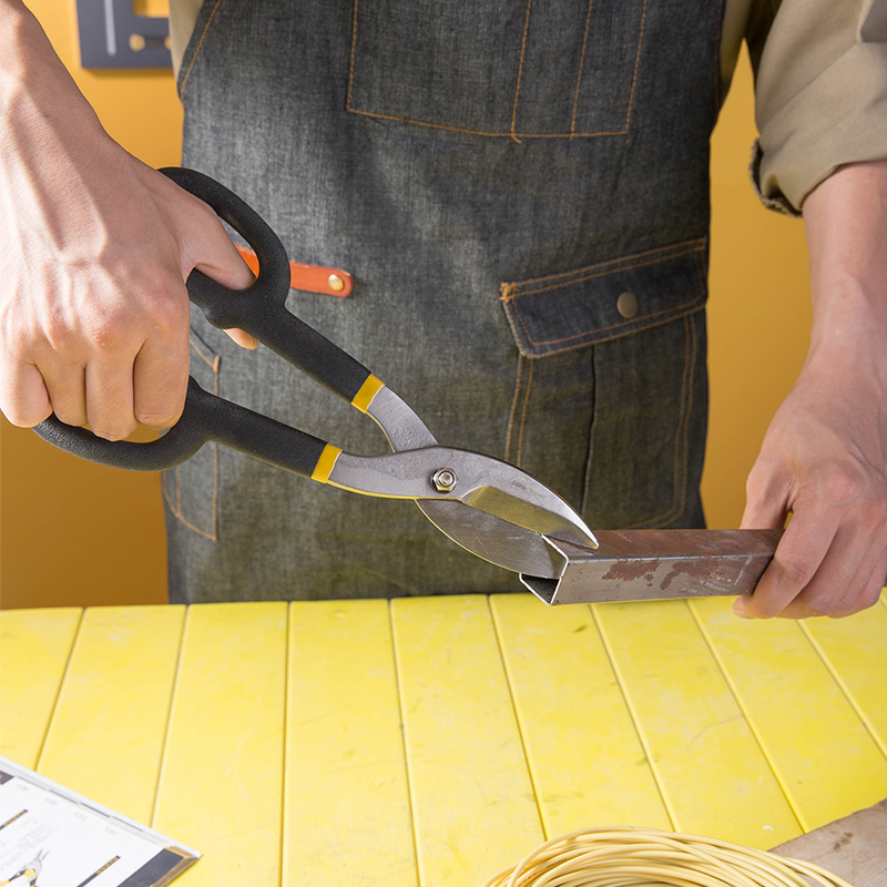 Tin Snips